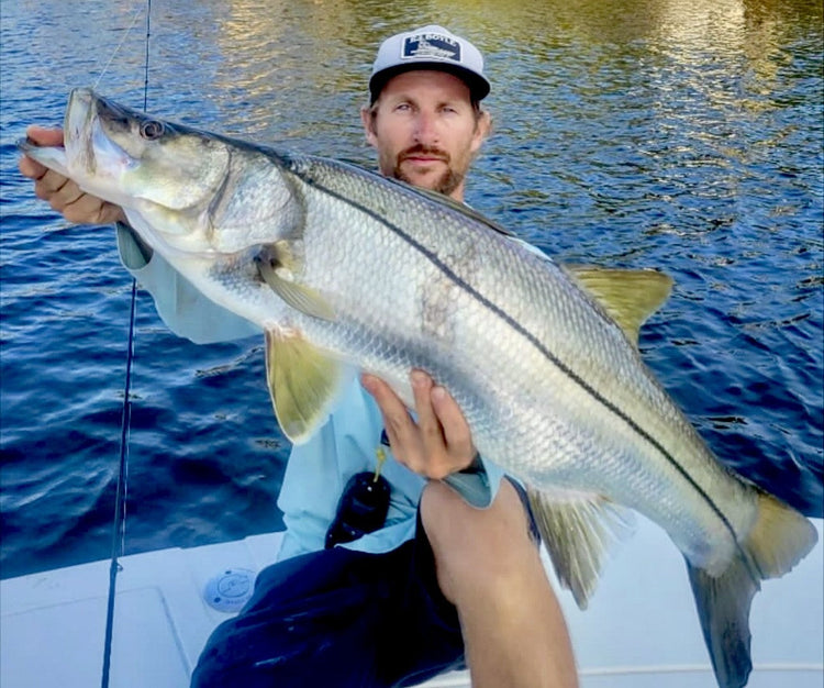 The fish can't get any closer to the beach!