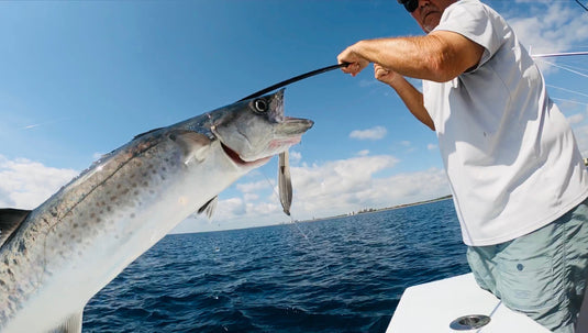 Reef Trip (3/4 Day) - $1,500