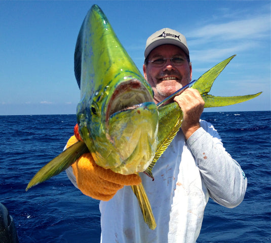 Reef Trip (Full Day) - $2,000