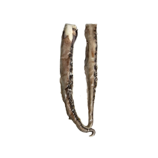 Unrigged Squid Tentacle - 10 Packs - RJ Boyle