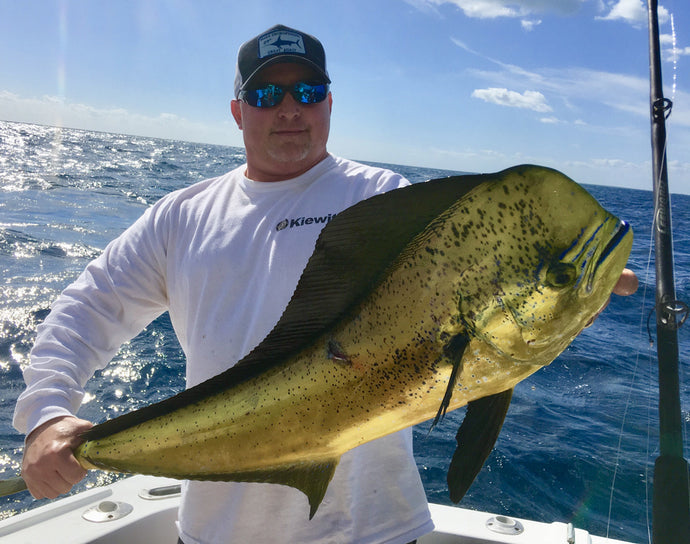 Be Ready for Mahi!