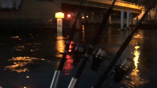 Go Fishing Now