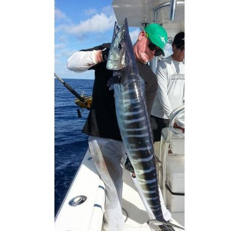 Time for Wahoo