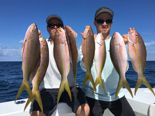 Summertime Snapper