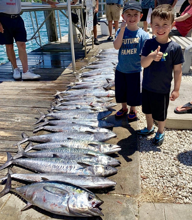 Kingfish are Snapping!
