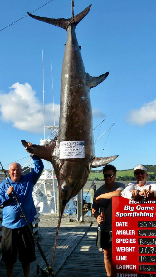 Pending world record swordfish!!