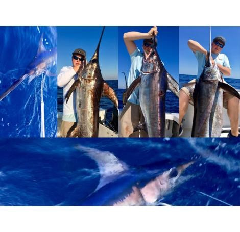 The swordfishing is going off!!!!