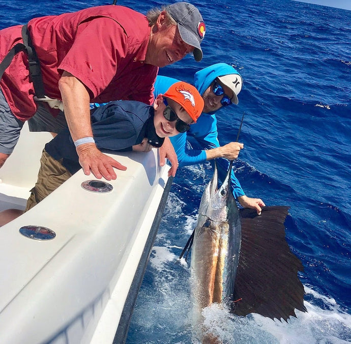 Sailfish Everywhere!