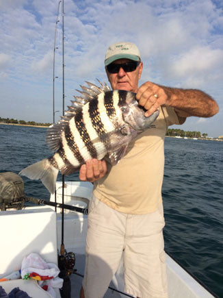 Sheepshead?