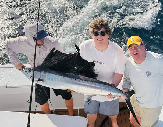 Sailfish are still chewing close to shore.