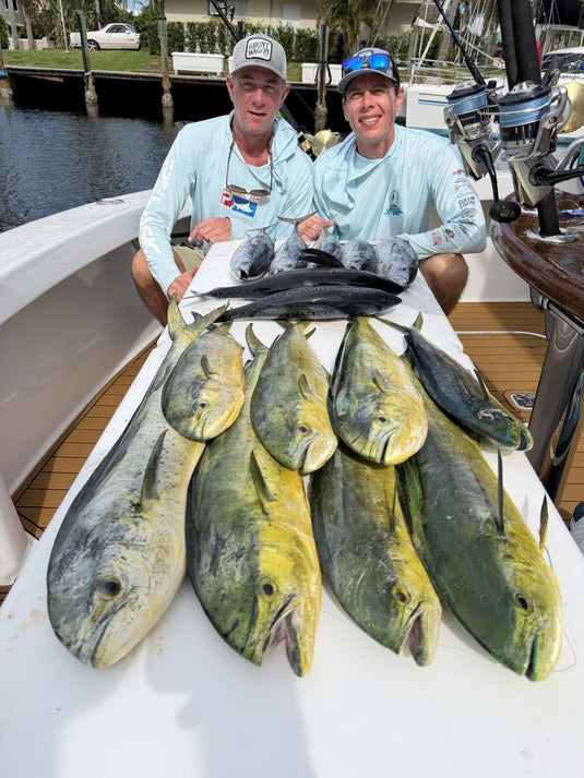 The mahi-mahi bite is the best it's been in years.