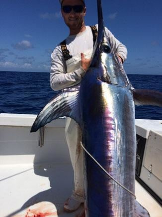 Swordfish in Current