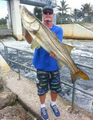 Snook Fishing the Spillways