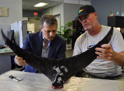 Realistic tail sculptures