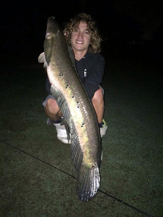 State Record Snakehead Caught!