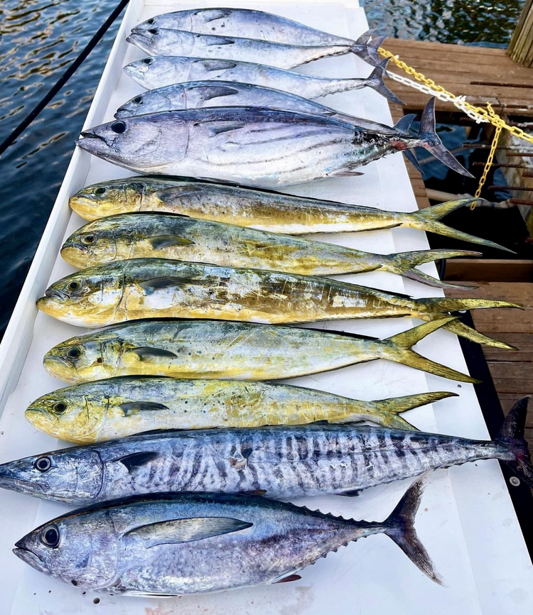 Rough Seas Offshore Providing Big Catches of Pelagics!