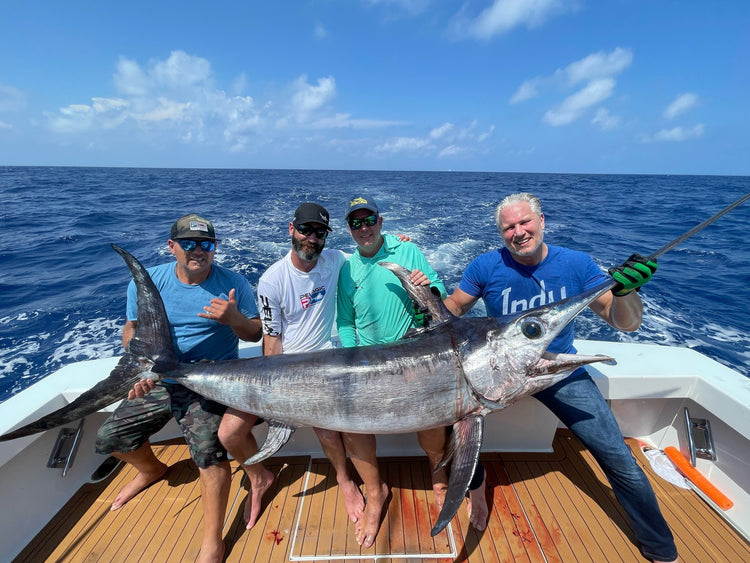 Swordfish In Session!