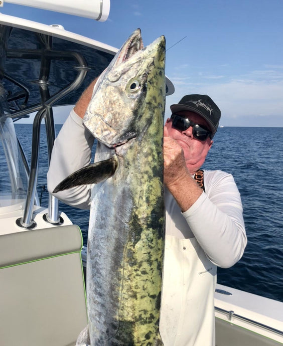 What a Kingfish!