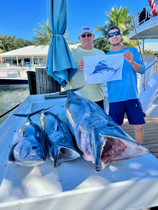 Sailfish are On The Move!