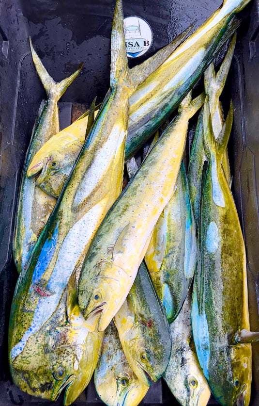Mahi Mahi is Your Weekend Go-To!