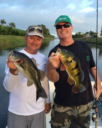 Peacocks and Largemouth Bass