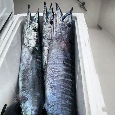 Full Moon Wahoo Weekend