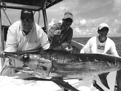 Swordfish are Biting