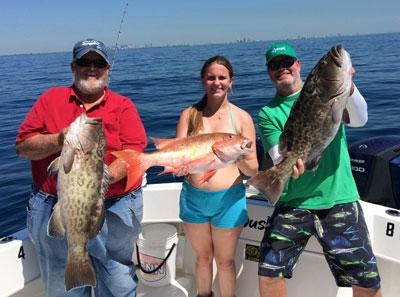 Snapper and Grouper