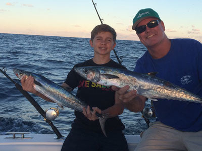 Dolphin Offshore, Snapper and Kingfish
