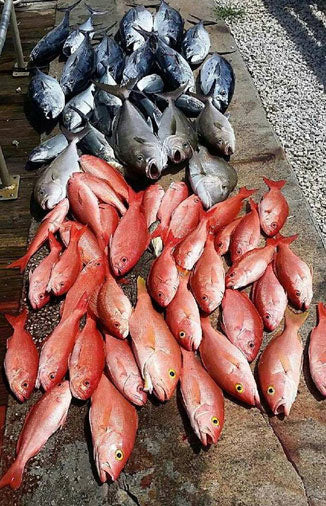Helen S Crushes Snappers