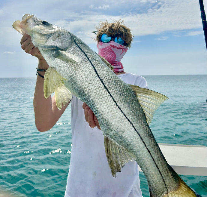 Fishing in the inlets and around the shorelines is red hot!