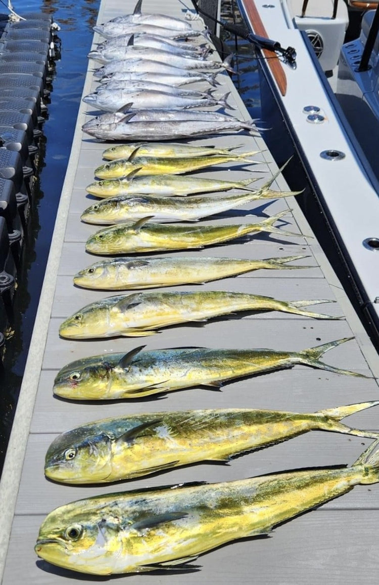 Rough Sea Conditions Should Improve the Fishing This Weekend