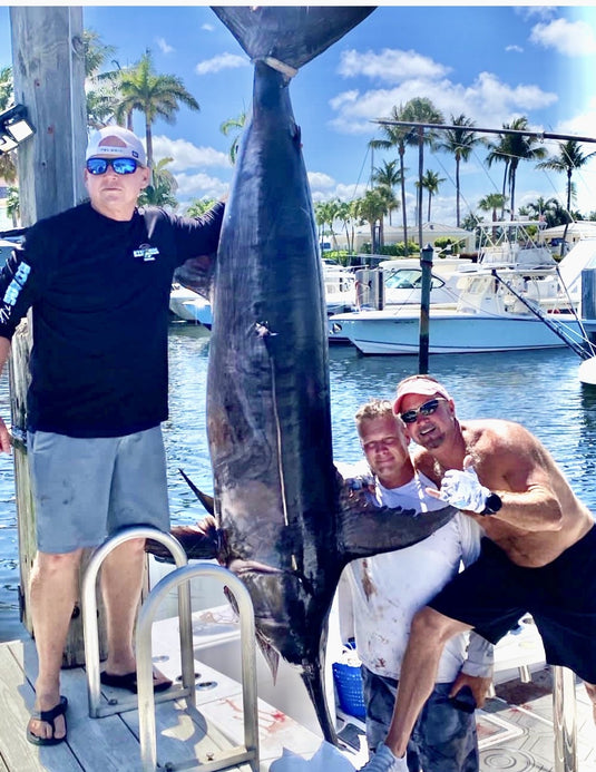 Big Wahoo Have Arrived As the Bonito Schools Move In!