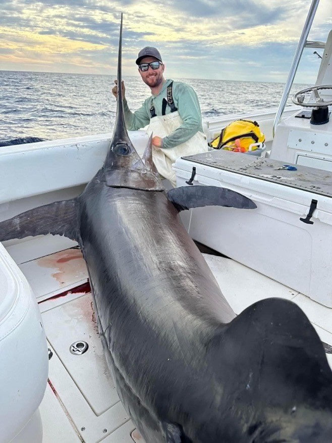 Giant Swordfish Are Being Caught Right Off Lighthouse Point!