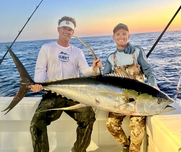 Big yellowfin tuna being caught while kite fishing this week!