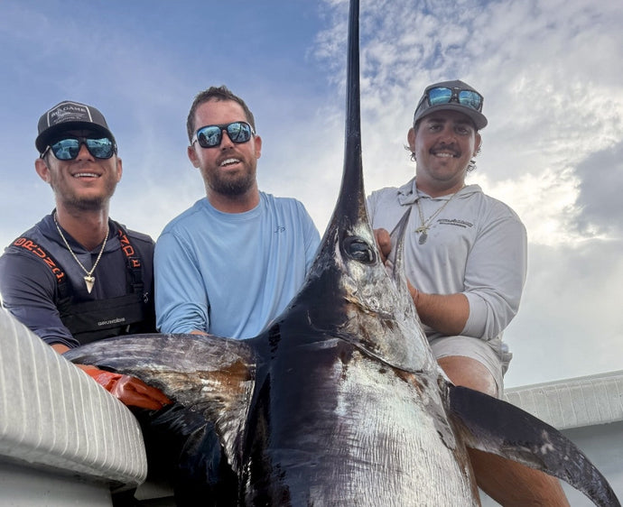 Big swordfish have shown up in the Gulfstream.