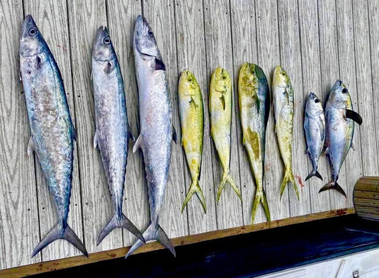 The seas have been choppy, but the fishing remains consistent close to shore.