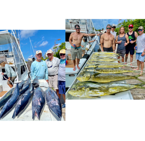 Great Catches of Wahoo and Mahi-Mahi