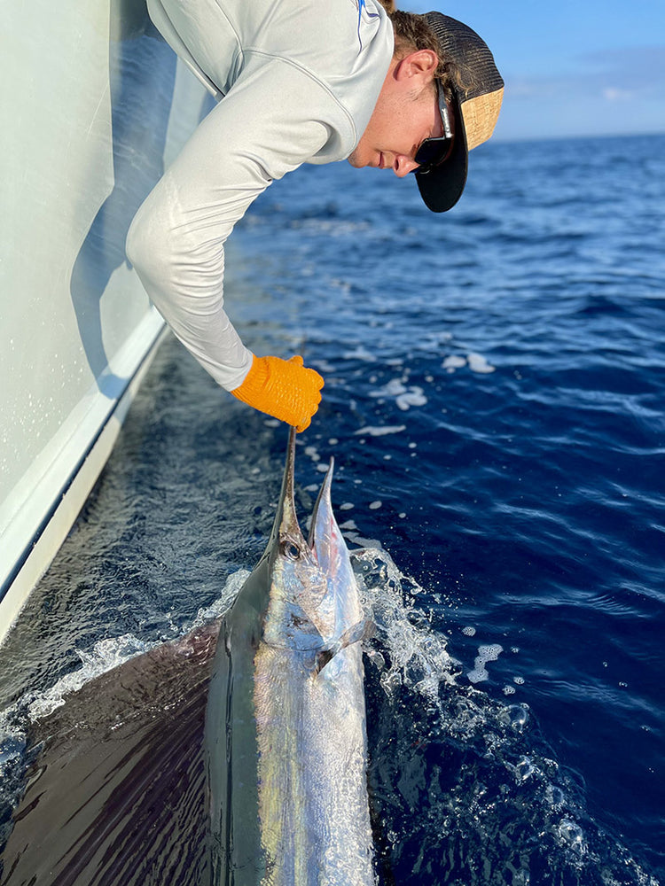 Sailfish Is In Season!