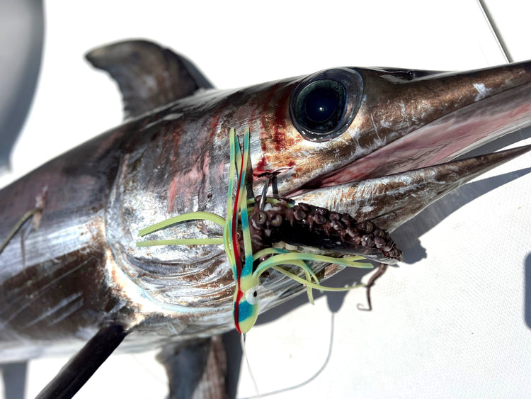 Pre-Rigged Squid Tentacles