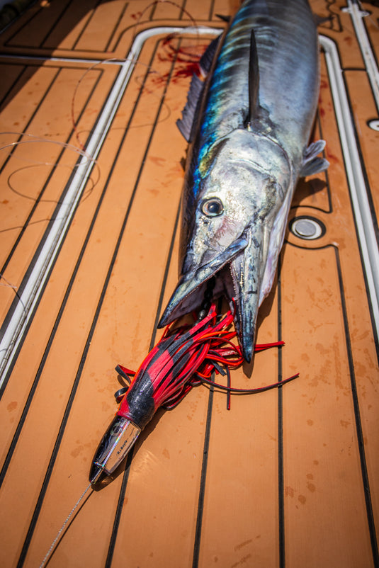 BIG GAME BAIT & TACKLE