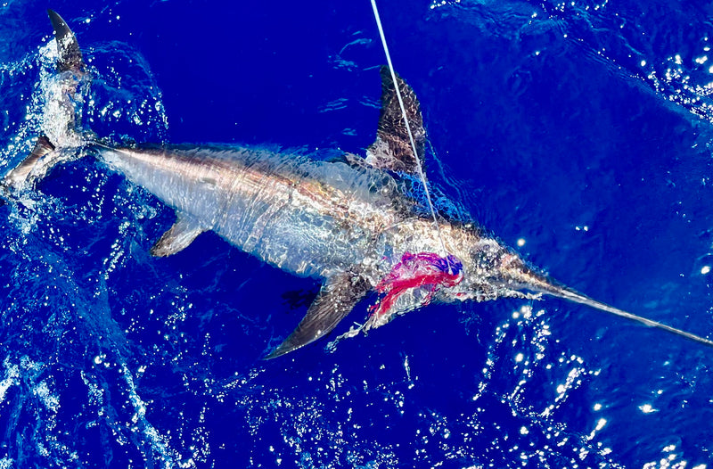 Load image into Gallery viewer, RJ Boyle Swordfish Skirts - RJ Boyle
