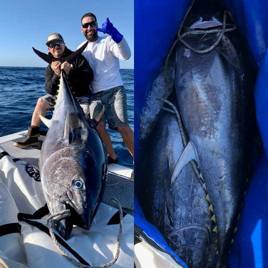 42" X 90" Insulated Kill Bag, Cow Tuna Edition - RJ Boyle