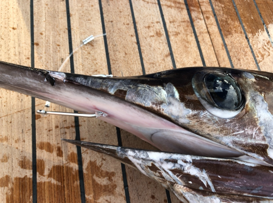 RJ Boyle Southern Tuna Stainless Big Game Hook (3 pack)