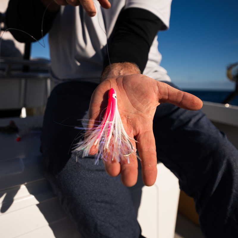 Load image into Gallery viewer, Mahi Tuna Bug with Strip
