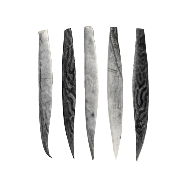 Bonito Strip Trolling Bundle - Regular