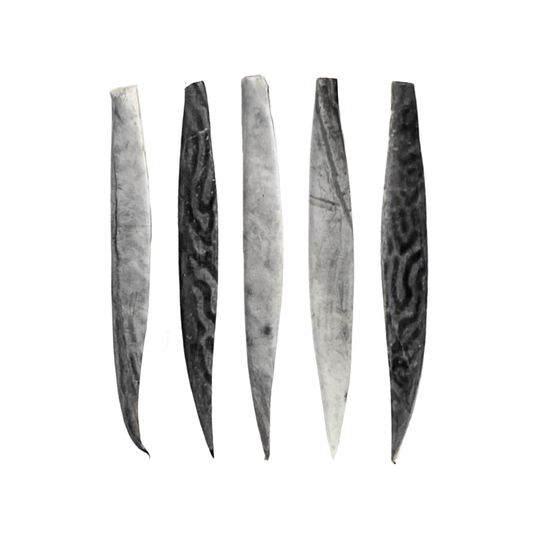 Bonito Strip Trolling Bundle - Regular