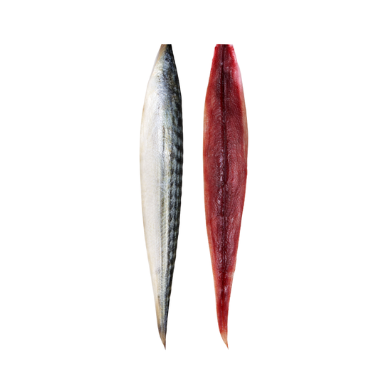 Bonito Rig Unrigged Bait