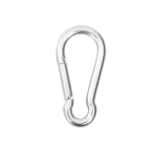 Stainless Carabiner Clip - RJ Boyle