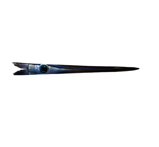 RJ Boyle Custom Swordfish Bill - Unframed - RJ Boyle